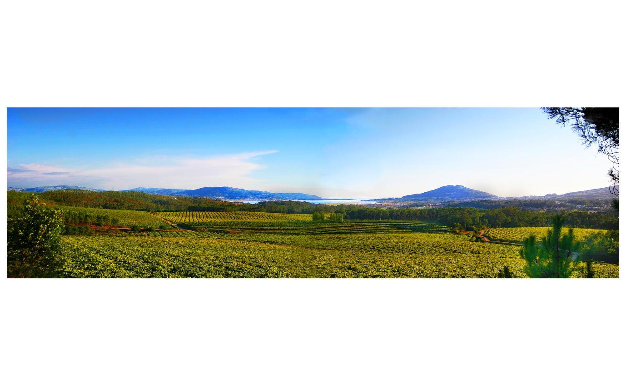 La Casa Alta En La Ruta Del Camino De Santiago A Guarda