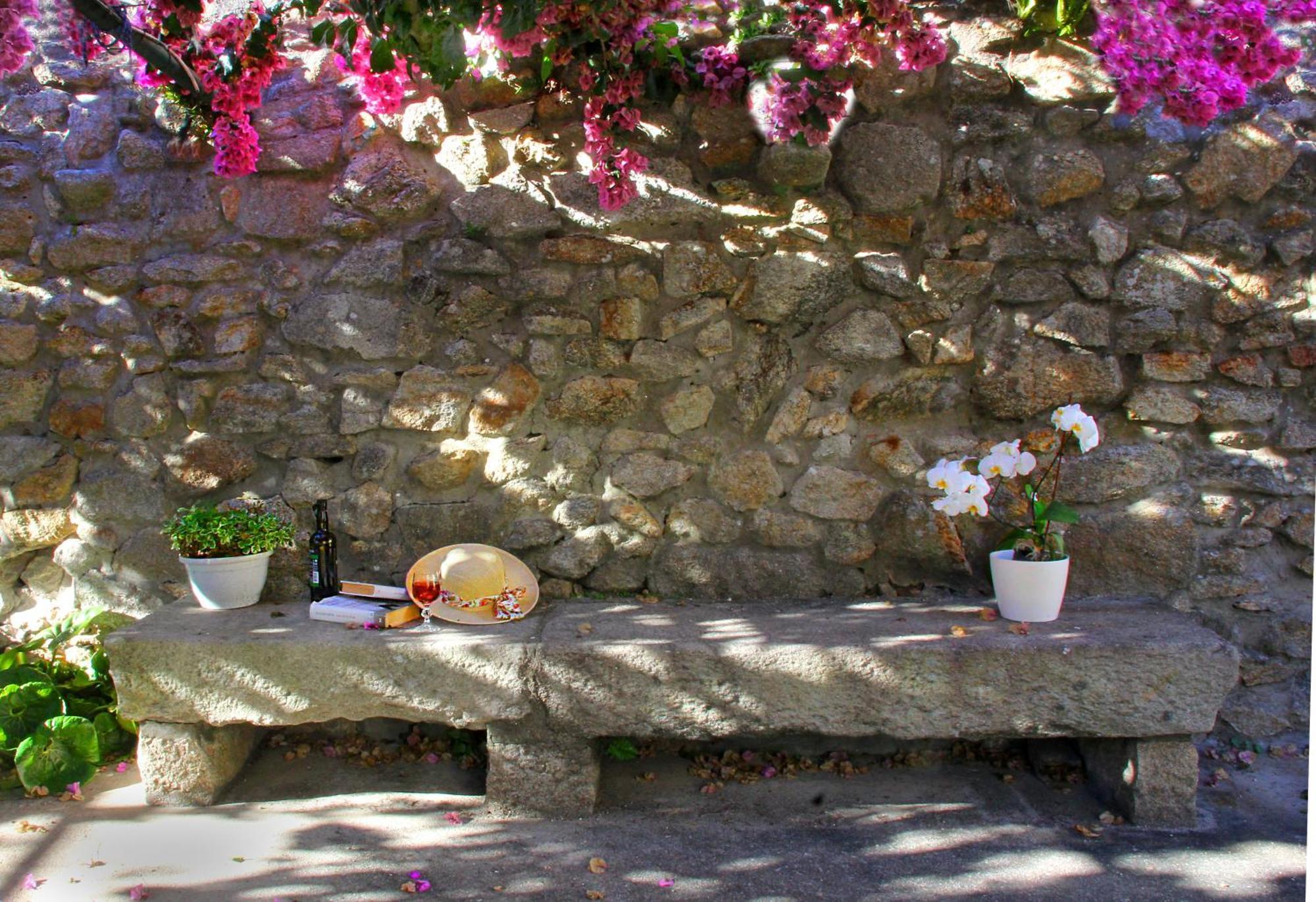 La Casa Alta En La Ruta Del Camino De Santiago *
